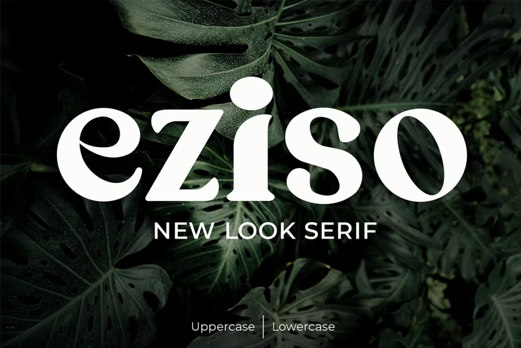 Eziso - Serif Font