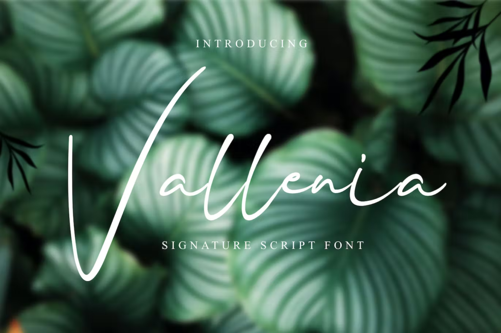 Vallenia Script Font
