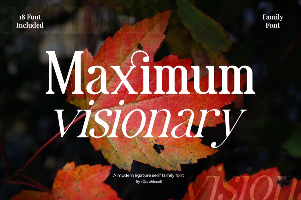 Maximum Visionary Family Elegant Serif Font