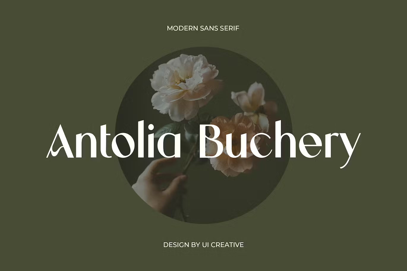 Antolia Buchery Feminine Sans Serif Font
