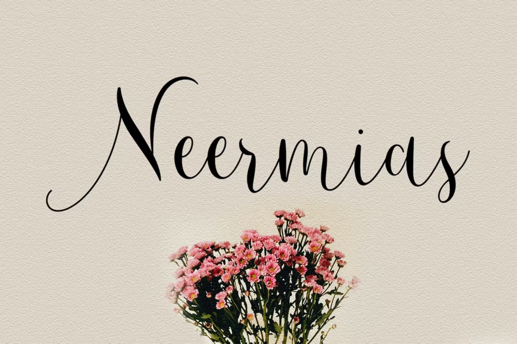 Neermias Modern Calligraphy Font