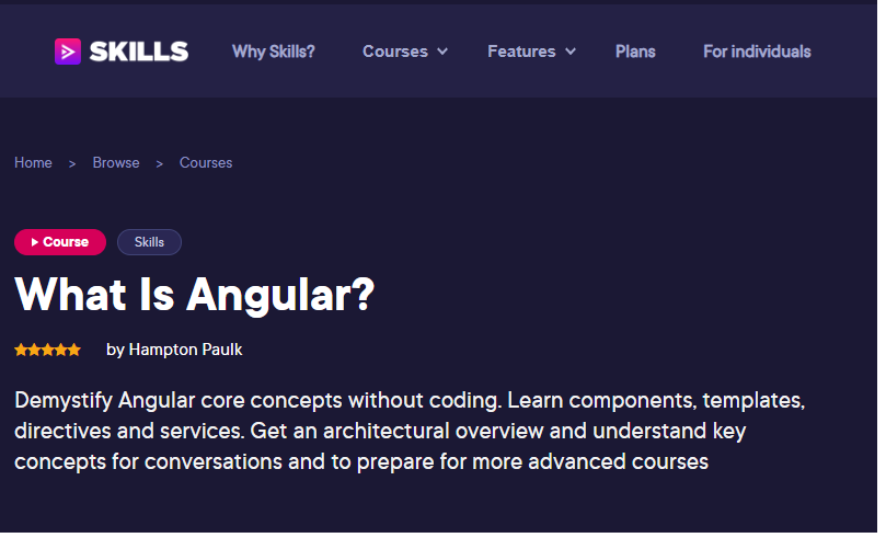 What Is Angular