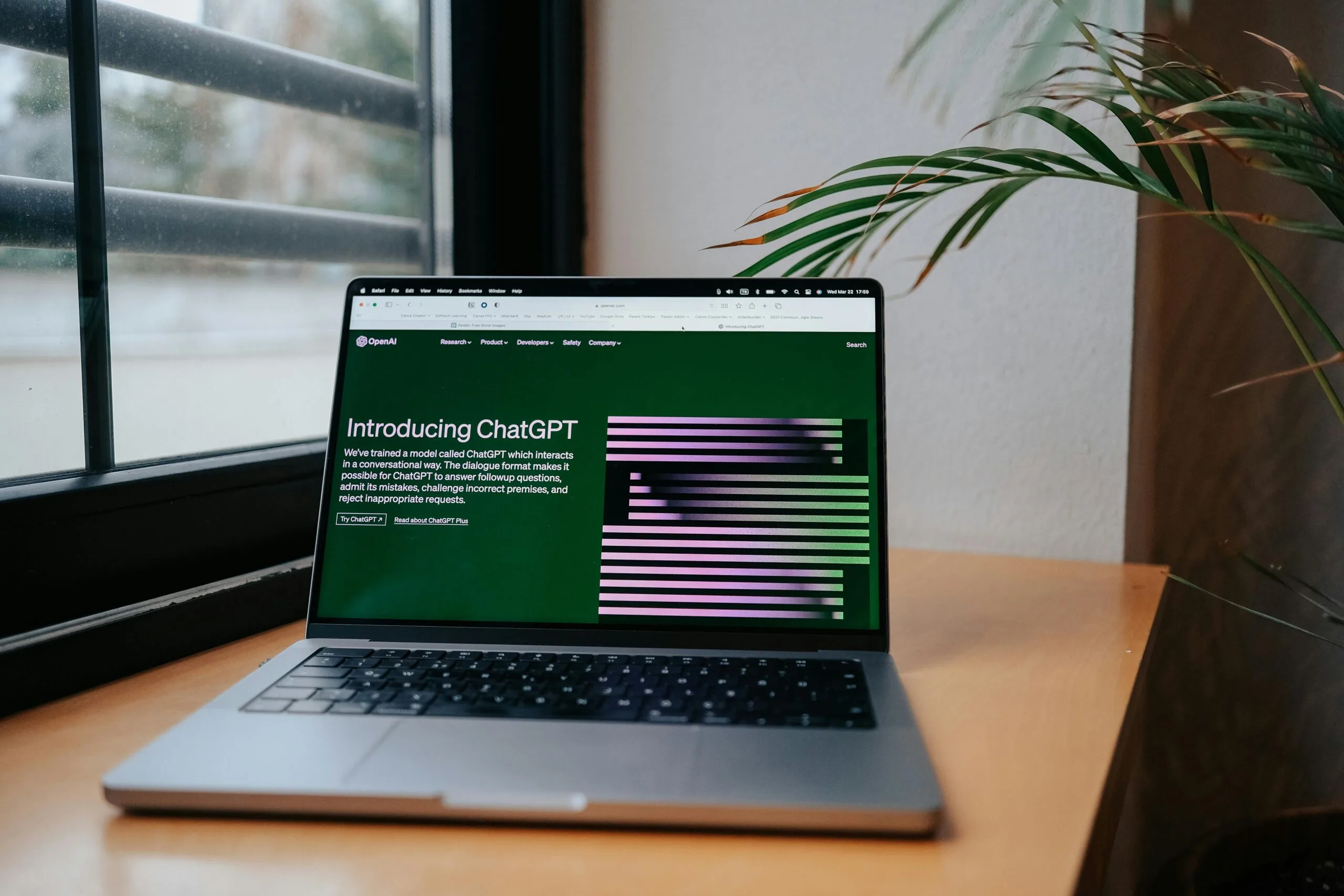 Using ChatGPT