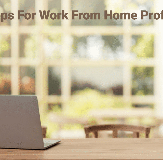Best Laptops For Work From Home Professionals In India